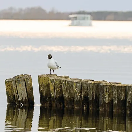 Cozy In With Sauna רשלין
